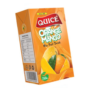 250ML Orange Mango Fruit Drink